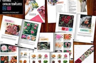 catalog hoa và trái cây