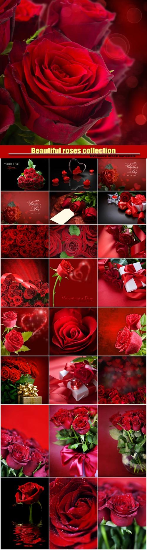 Hoa hồng lãng mạn là biểu tượng cho tình yêu và sự trân quý. Khi nhìn vào hình ảnh của loài hoa này, bạn sẽ cảm thấy tràn đầy cảm xúc và tình cảm. Những cánh hoa màu đỏ tươi, phủ đầy mùi thơm thật sự là một tác phẩm nghệ thuật. Hãy xem hình ảnh để cảm nhận sức hút của hoa hồng lãng mạn.
